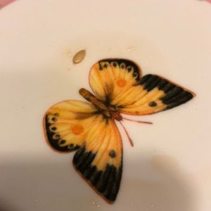 Meet your Posher, Chang